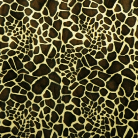 Giraffe print!